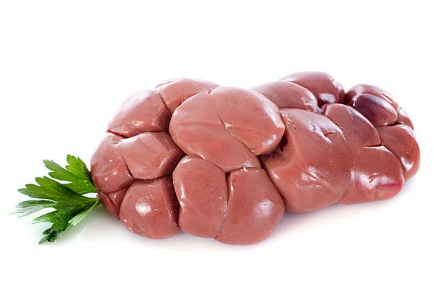 BEEF KIDNEY