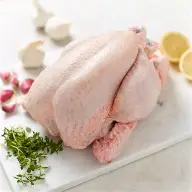 Tavuk