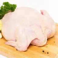 Tavuk