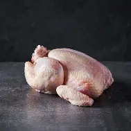Tavuk