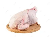 Tavuk