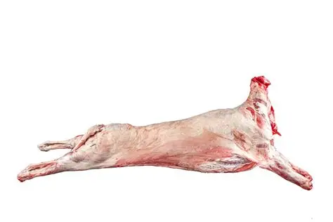 WHOLE LAMB