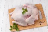 Tavuk