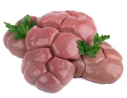 BEEF KIDNEY
